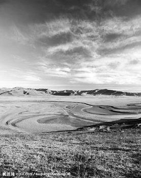 冷寂原野,探寻荒野之美与生命坚韧