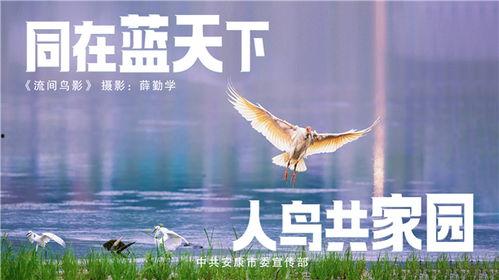 同在蓝天下,携手共前行