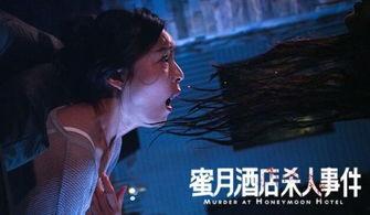蜜月酒店杀人事件,奢华酒店中的致命谜案