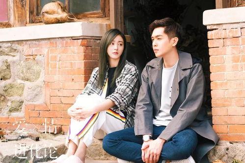 爱情进化论,从原始冲动到心灵契合的旅程