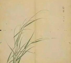 走进诗经,走进诗经的世界